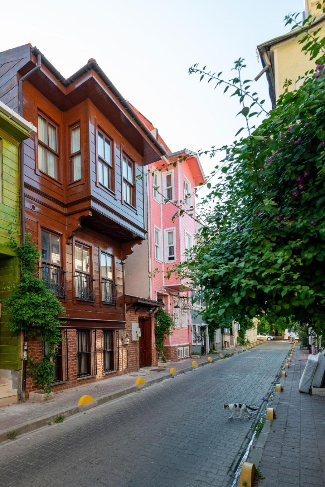 איסטמבול Brown Mansion Oldcity מראה חיצוני תמונה